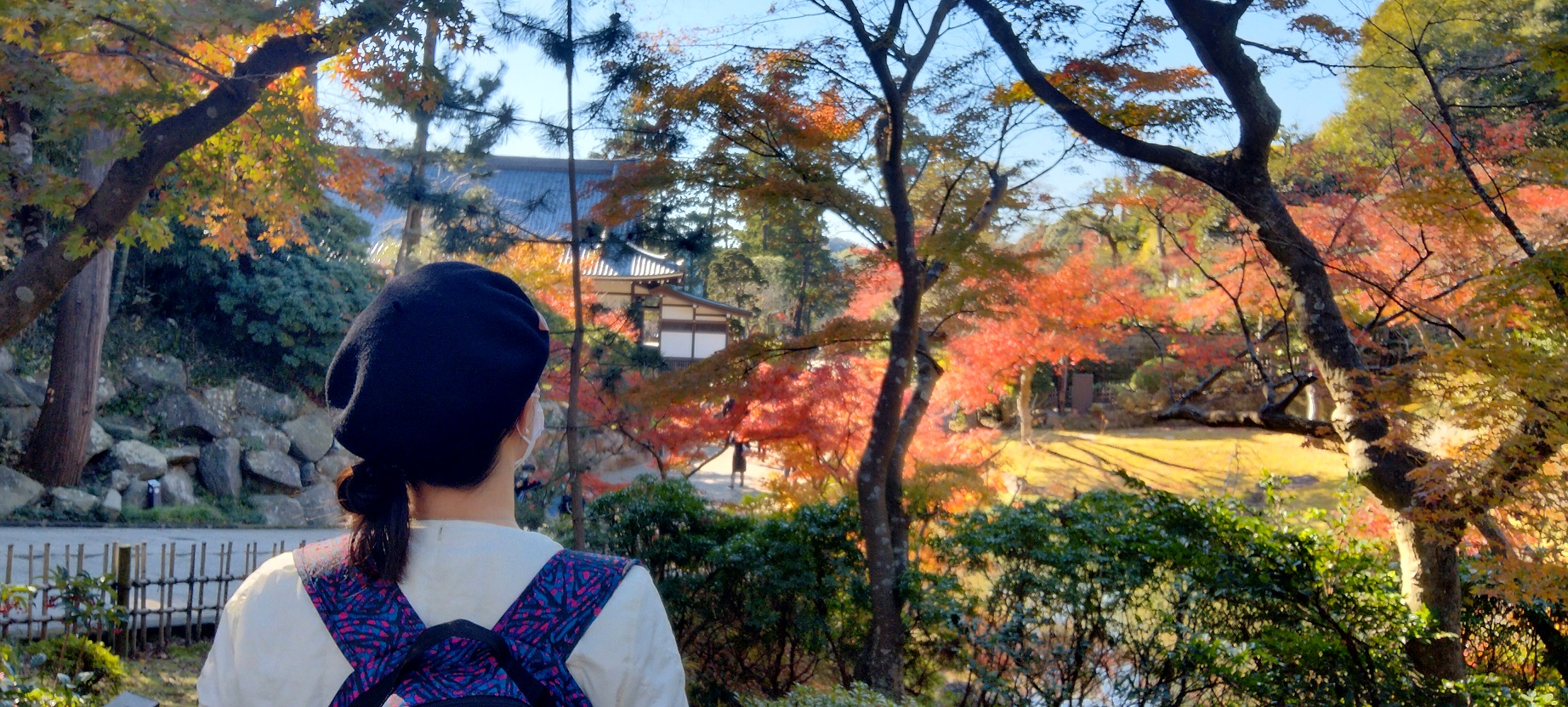 단풍의 카마쿠라　　　　　(もみじ、鎌倉)